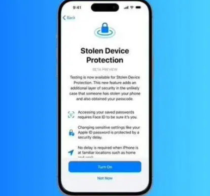 七星关苹果授权维修店分享被盗设备保护功能开启方法 