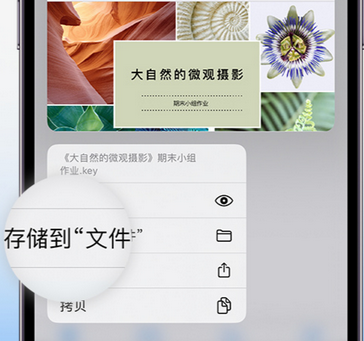 七星关apple维修中心分享iPhone文件应用中存储和找到下载文件