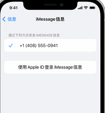 七星关apple维修iPhone上无法正常发送iMessage信息 