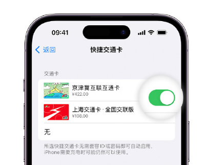 七星关apple维修点分享iPhone上更换Apple Pay快捷交通卡手绘卡面 