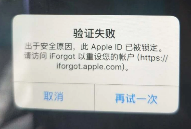 七星关iPhone维修分享iPhone上正常登录或使用AppleID怎么办 