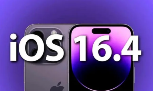 七星关苹果14维修分享：iPhone14可以升级iOS16.4beta2吗？ 