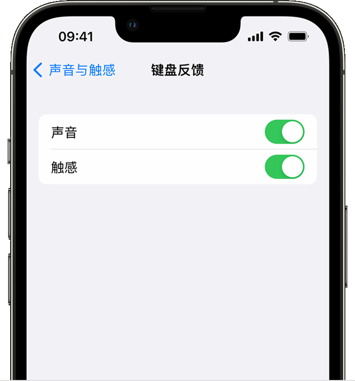 七星关苹果14维修店分享如何在 iPhone 14 机型中使用触感键盘 