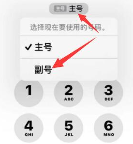 七星关苹果14维修店分享iPhone 14 Pro Max使用副卡打电话的方法 