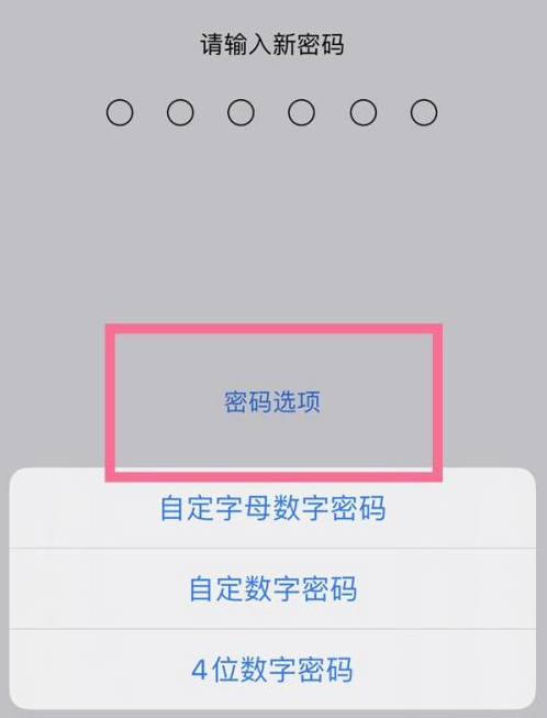 七星关苹果14维修分享iPhone 14plus设置密码的方法 