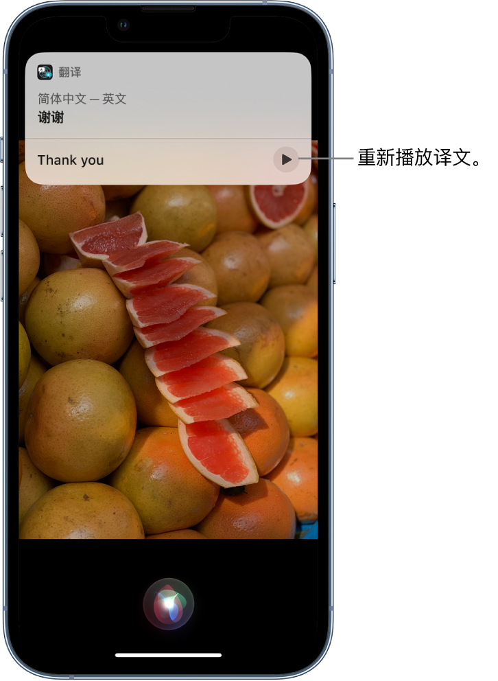 七星关苹果14维修分享 iPhone 14 机型中使用 Siri：了解 Siri 能帮你做什么 