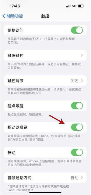 七星关苹果手机维修分享iPhone手机如何设置摇一摇删除文字 