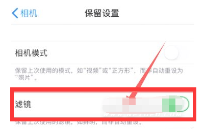 七星关苹果13维修分享iPhone13拍照有绿点是怎么回事 