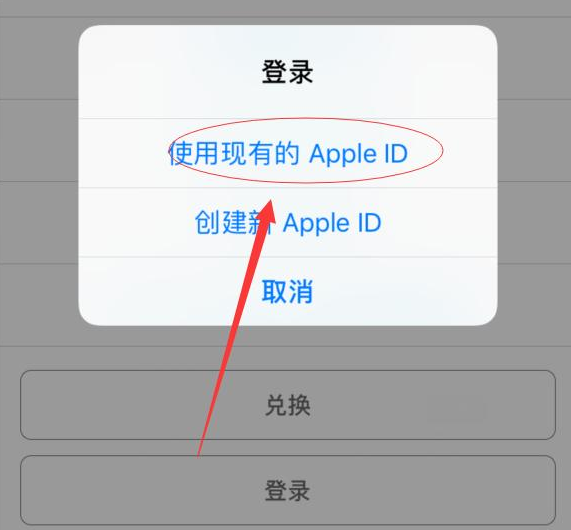 七星关苹果手机维修分享两台iPhone设备可以同时登录一个Apple ID吗 