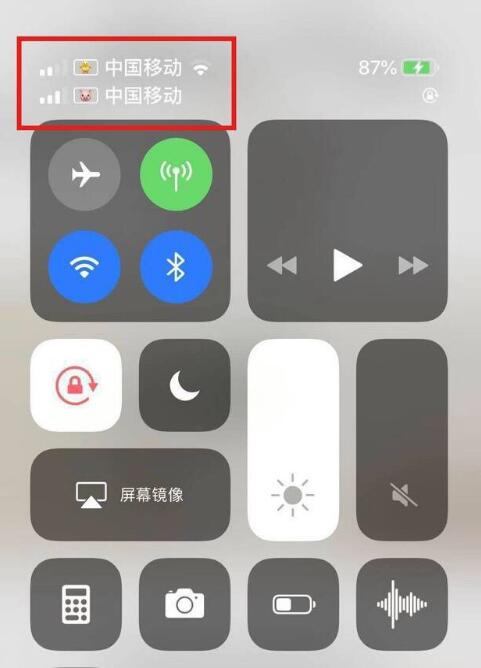 七星关苹果手机维修分享为 iPhone 12 双卡设置标签 